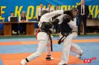 В барнаульском спортивном центре "Эланс" состоялись Первенство и Чемпионат Сибирского федерального округа по восточному боевому единоборству