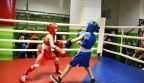 Бокс. Открытое первенство г. Барнаула среди юношей
