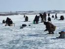 В Барнауле состоялись соревнования по подледному лову