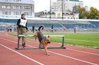    Чемпионат и Первенство Алтайского края по кинологическому спорту